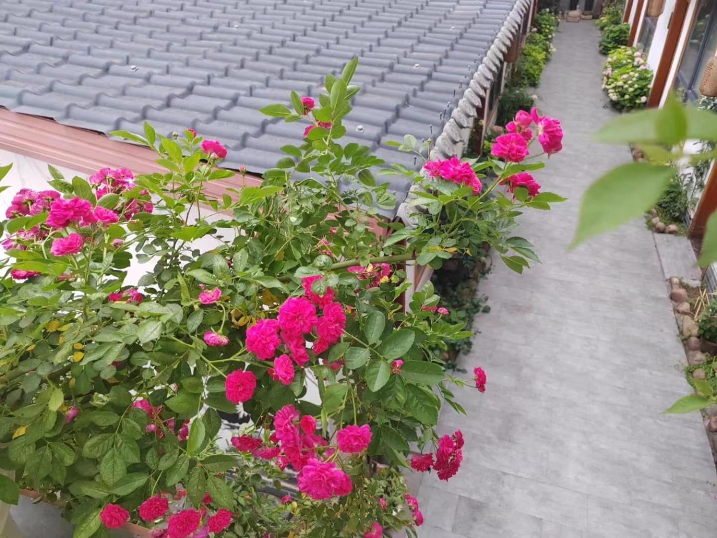 Zhangjiajie Tingyutang Little Yard Екстер'єр фото