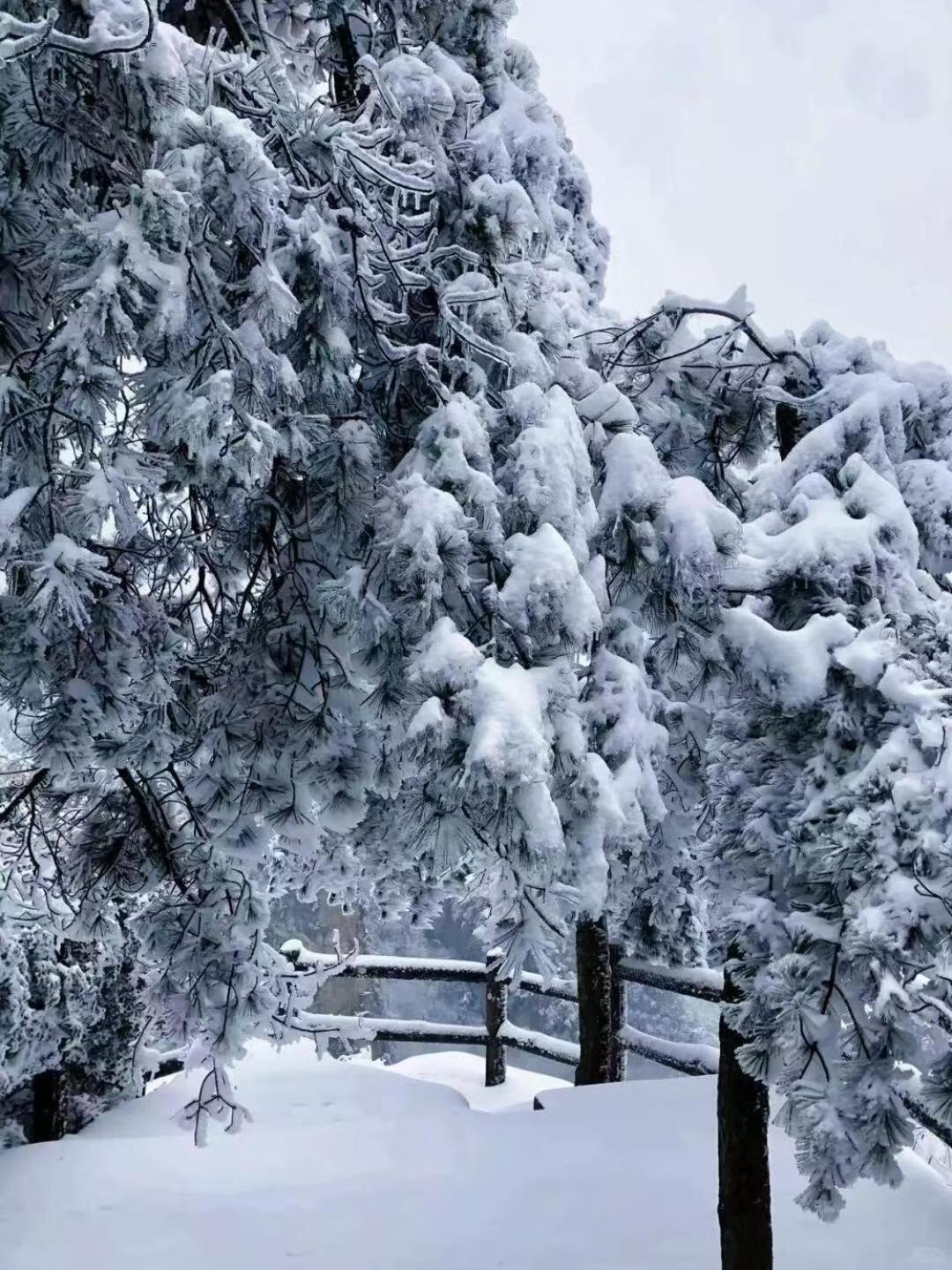 Zhangjiajie Tingyutang Little Yard Екстер'єр фото