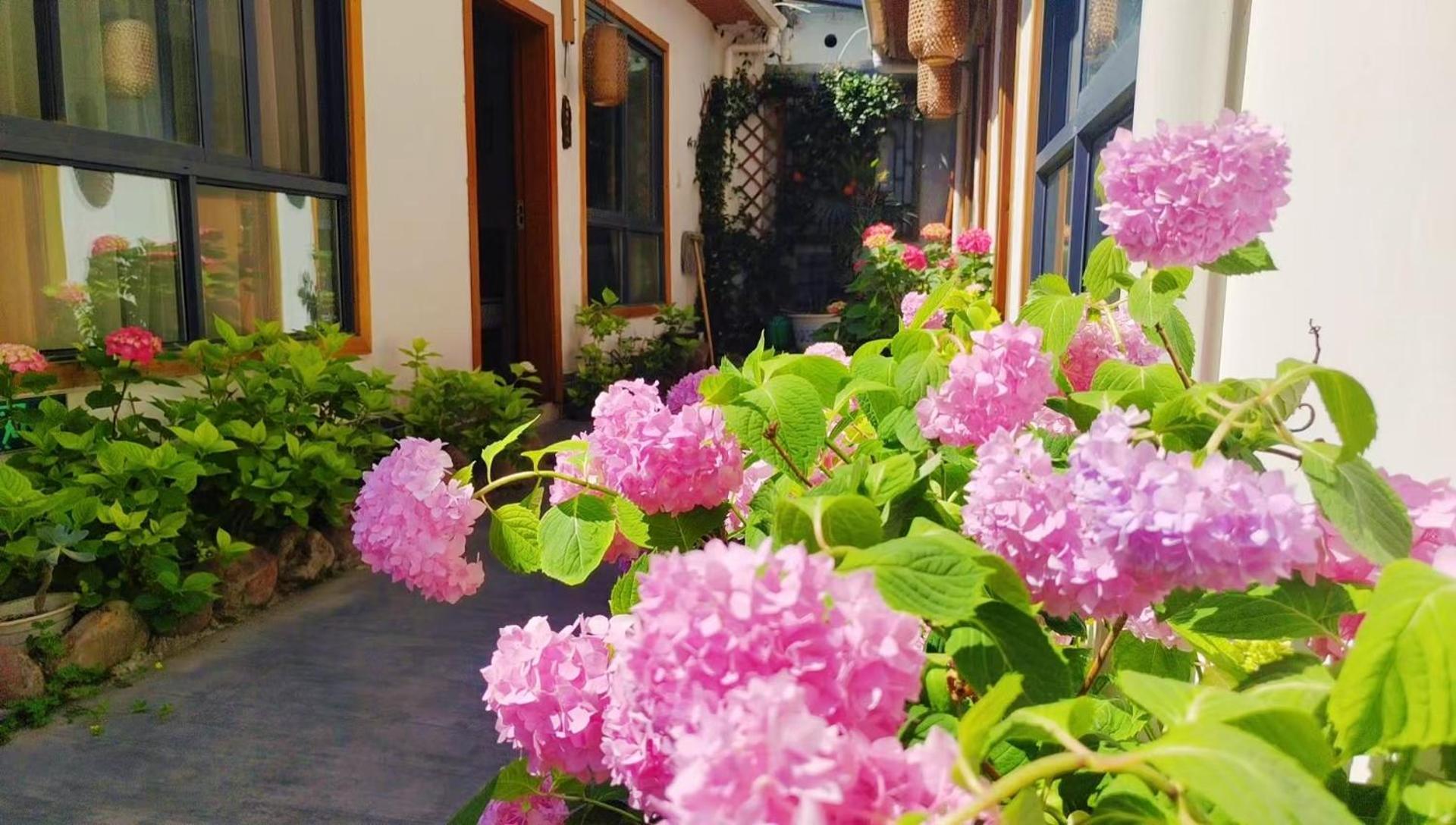 Zhangjiajie Tingyutang Little Yard Екстер'єр фото